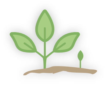 Beste Anbaubedingungen, biodynamische Herstellung, purer Geschmack: Unser Inhalt überzeugt.
