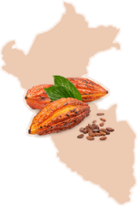 Kakao aus Peru