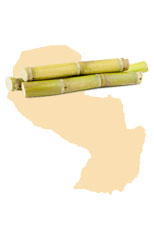 Zucker aus Paraguay